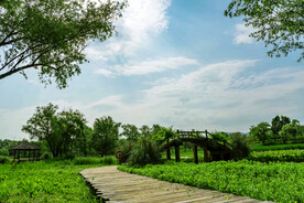 浙江杭州西溪湿地公园
