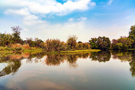 浙江杭州西溪湿地公园