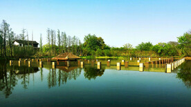 浙江杭州西溪湿地公园