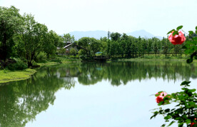 浙江杭州西溪湿地公园