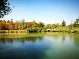 浙江杭州西溪湿地公园