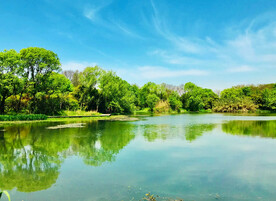 浙江杭州西溪湿地公园