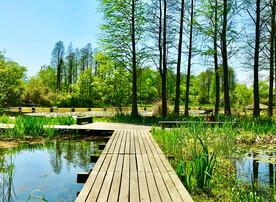 浙江杭州西溪湿地公园