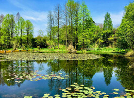浙江杭州西溪湿地公园