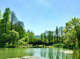 浙江杭州西溪湿地公园