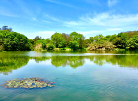 浙江杭州西溪湿地公园