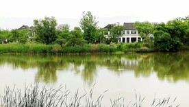 浙江杭州西溪湿地公园