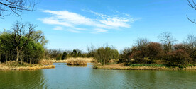 浙江杭州西溪湿地公园