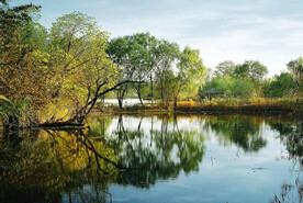 浙江杭州西溪湿地公园