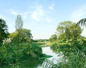 浙江丽水九龙湿地公园