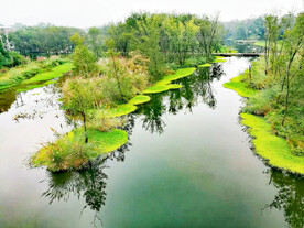 浙江丽水九龙湿地公园