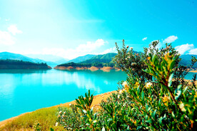 浙江乌溪江湿地