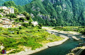浙江乌溪江湿地