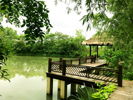 浙江杭州西溪湿地公园