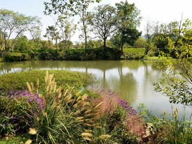 浙江杭州西溪湿地公园