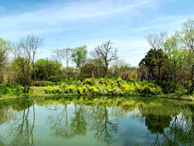 浙江杭州西溪湿地公园
