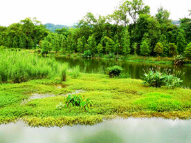 浙江丽水九龙湿地公园