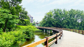 浙江丽水九龙湿地公园