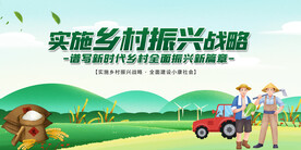 实施乡村振兴战略