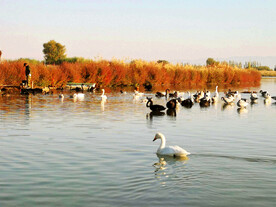甘肃张掖国家湿地公园