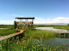 甘肃张掖国家湿地公园