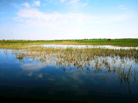 河北白洋淀湿地公园