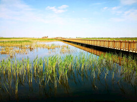 河北白洋淀湿地公园