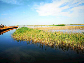 河北白洋淀湿地公园
