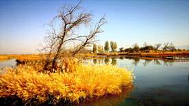 甘肃张掖国家湿地公园