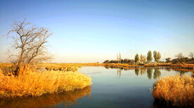 甘肃张掖国家湿地公园