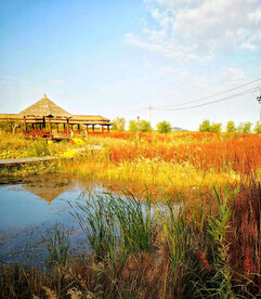 甘肃张掖国家湿地公园