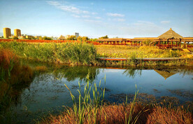 甘肃张掖国家湿地公园