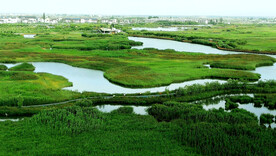 甘肃张掖国家湿地公园