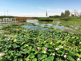 甘肃张掖国家湿地公园