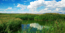 甘肃张掖国家湿地公园