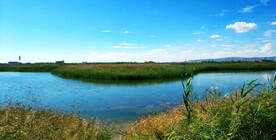 甘肃张掖国家湿地公园