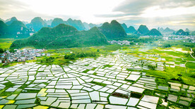 桂林会仙喀斯特国家湿地