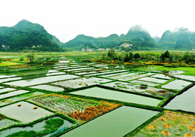 桂林会仙喀斯特国家湿地