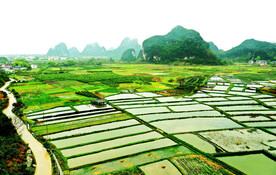 桂林会仙喀斯特国家湿地