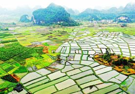 桂林会仙喀斯特国家湿地