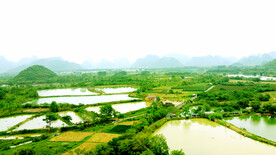 桂林会仙喀斯特国家湿地