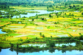 桂林会仙喀斯特国家湿地