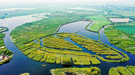 河北白洋淀湿地公园