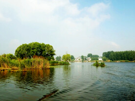 河北白洋淀湿地公园