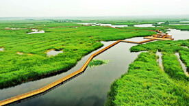河北白洋淀湿地公园