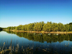 吉林长春北湖湿地公园