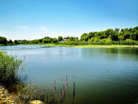 吉林长春北湖湿地公园