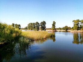 吉林长春北湖湿地公园