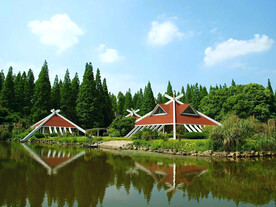 上海东滩湿地公园