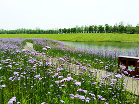 湖南长沙洋湖湿地公园